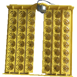 Egg Incubator Tray