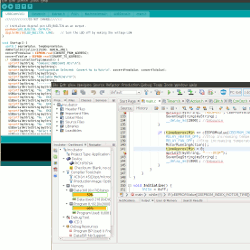 Firmware Development